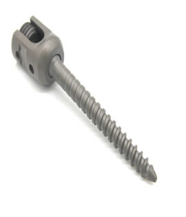 Polyaxial Pedicle Screw 5.5mm X 50mm With Inner Nut Single Thread Orthopedic Spine Surgical Titanium